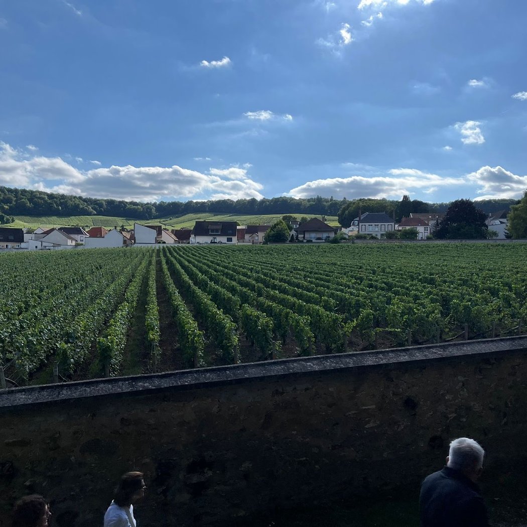 Clos Saint Vincent 2