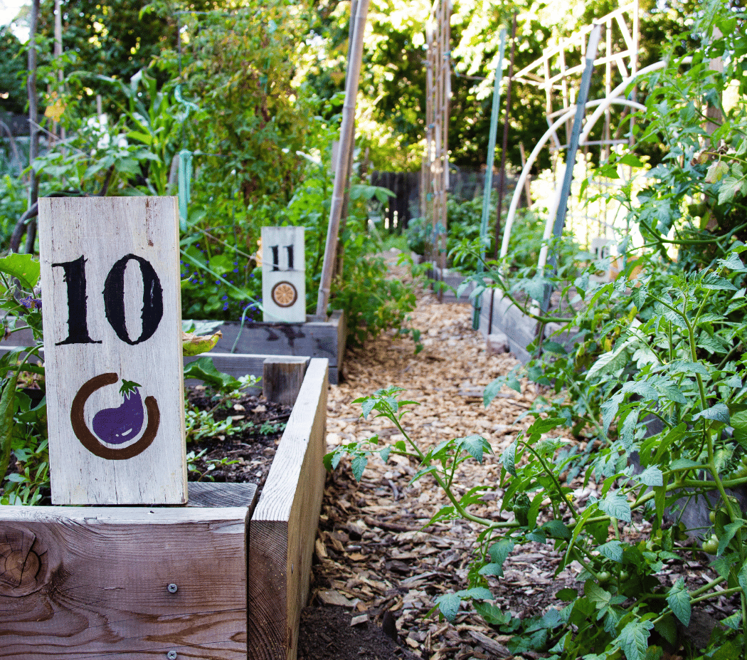 Garden Volunteer Days 2