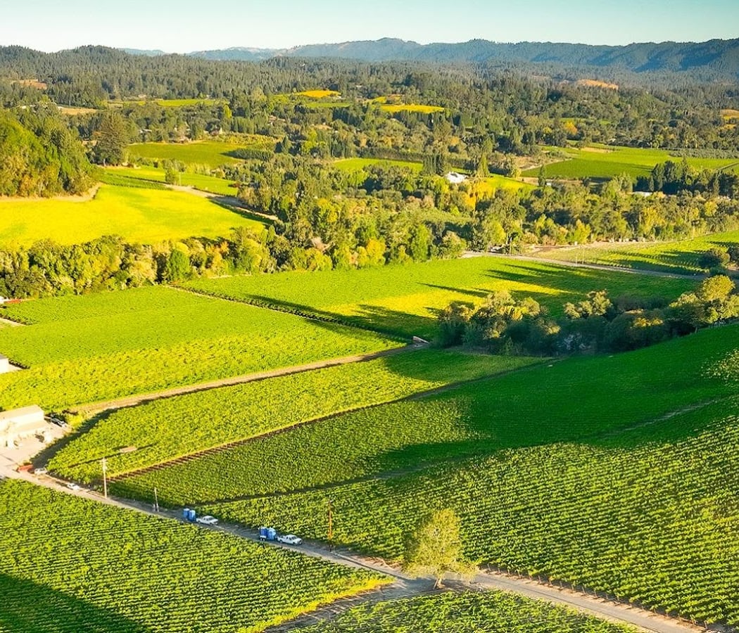 Dutton-Goldfield Winery 3