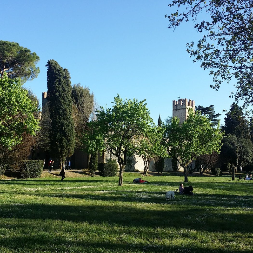 OpenCine degli Amici del Cabiria 4