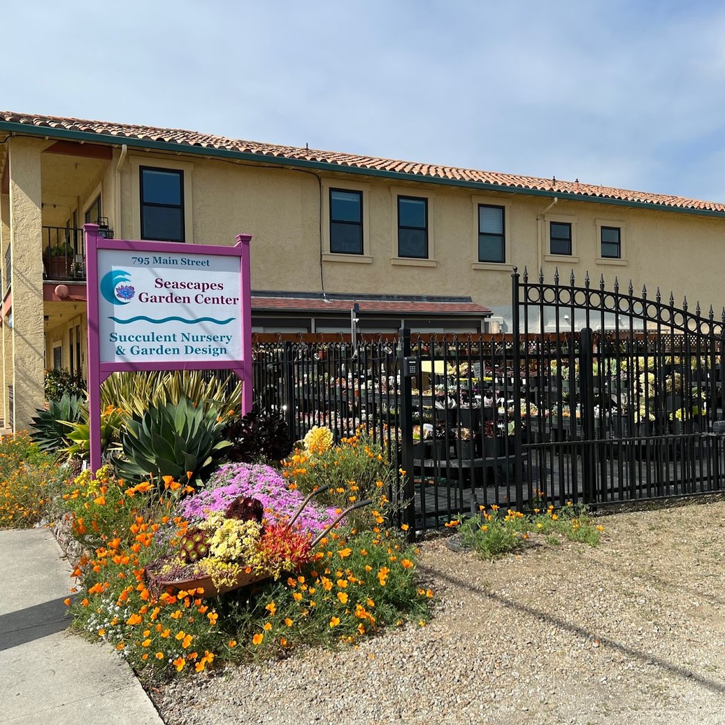 Seascapes Succulent Nursery 2