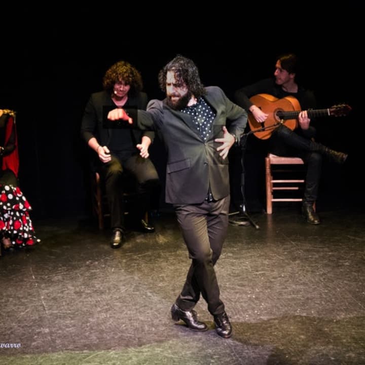 Espectáculo de flamenco 2