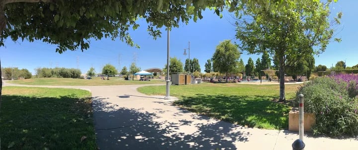 Ryder Park 2