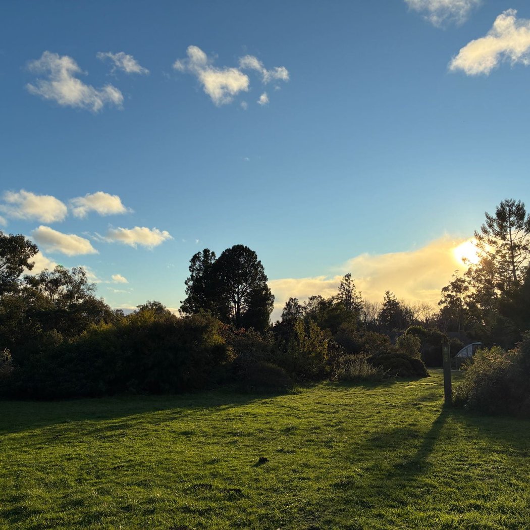 Events – Arboretum & Botanic Garden 1