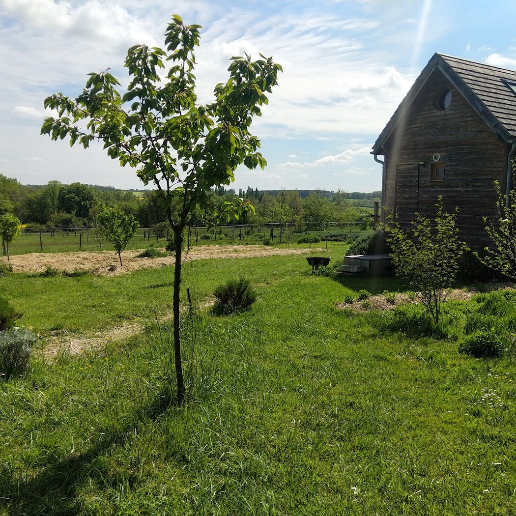 La Cabane à Plantes 3