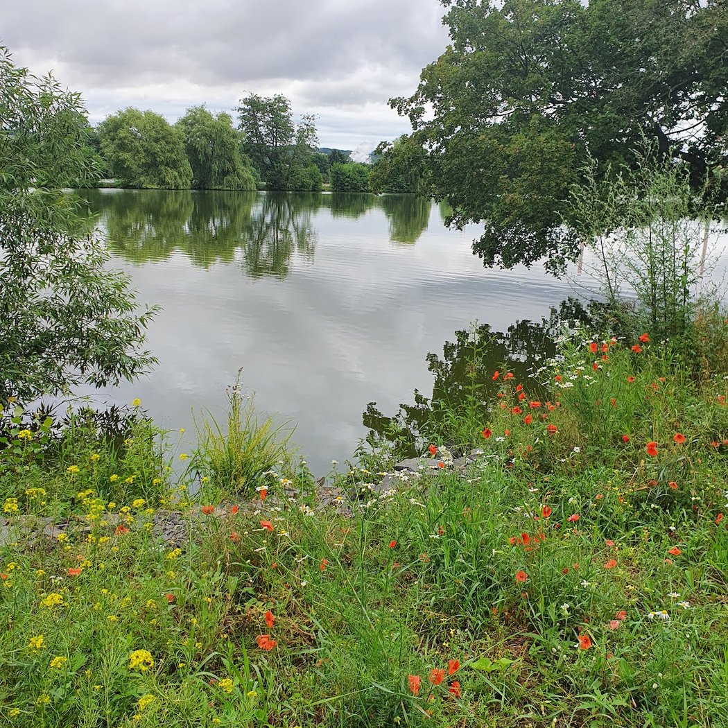 Elbe Cycle Route 2