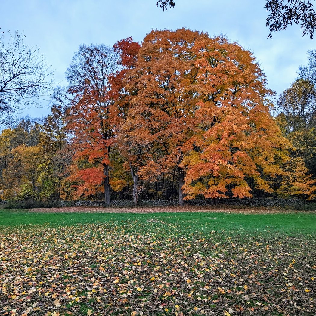 Granite Springs Farm 1