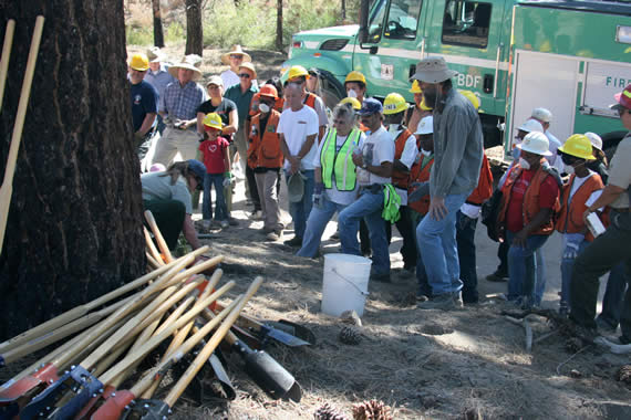 Green Thumbs Forest Restoration 3