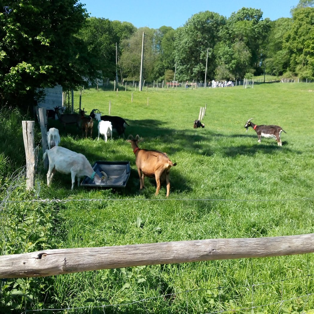 Ferme d' Ecancourt - Association d'éducation à l'environnement 3