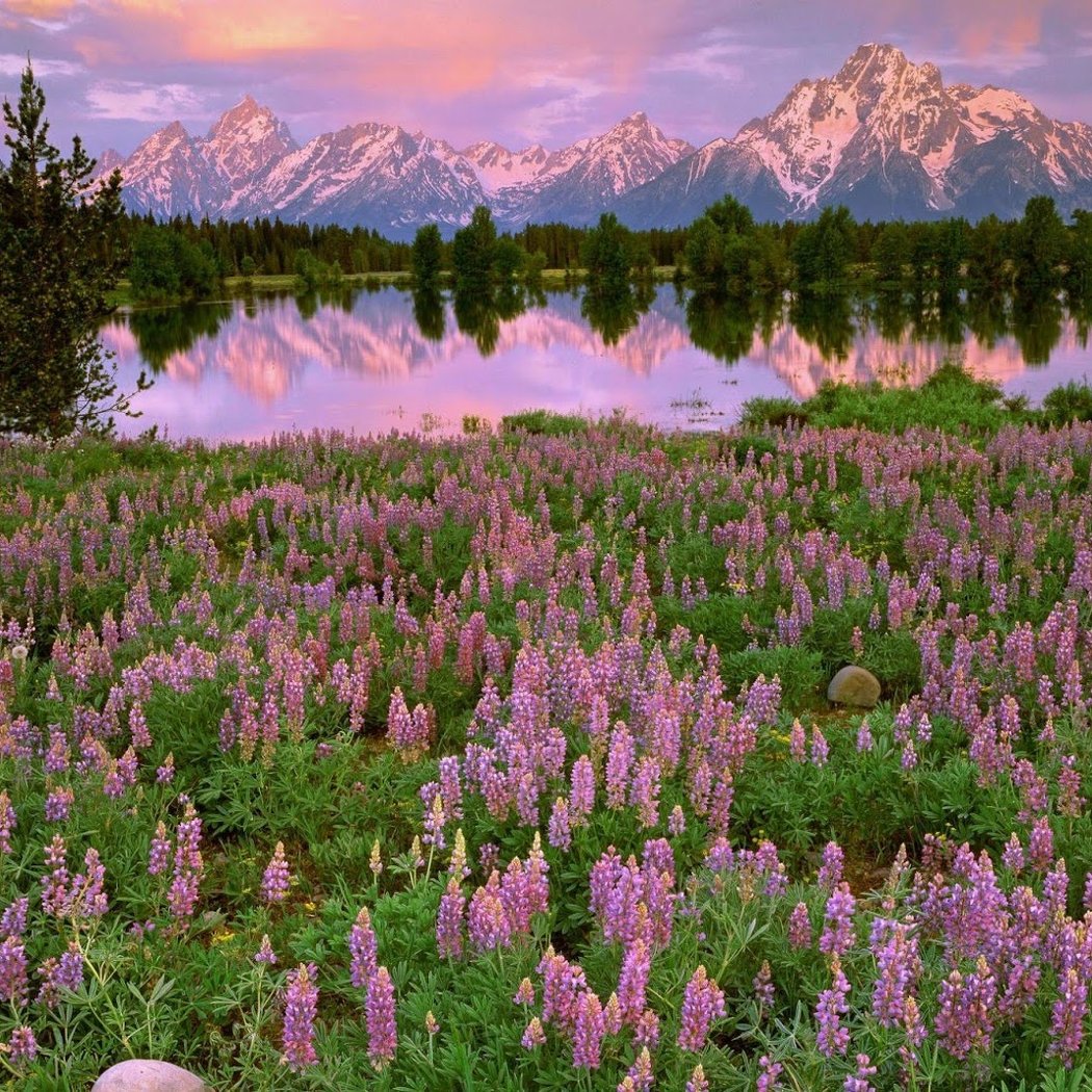 Grand Teton National Park 1