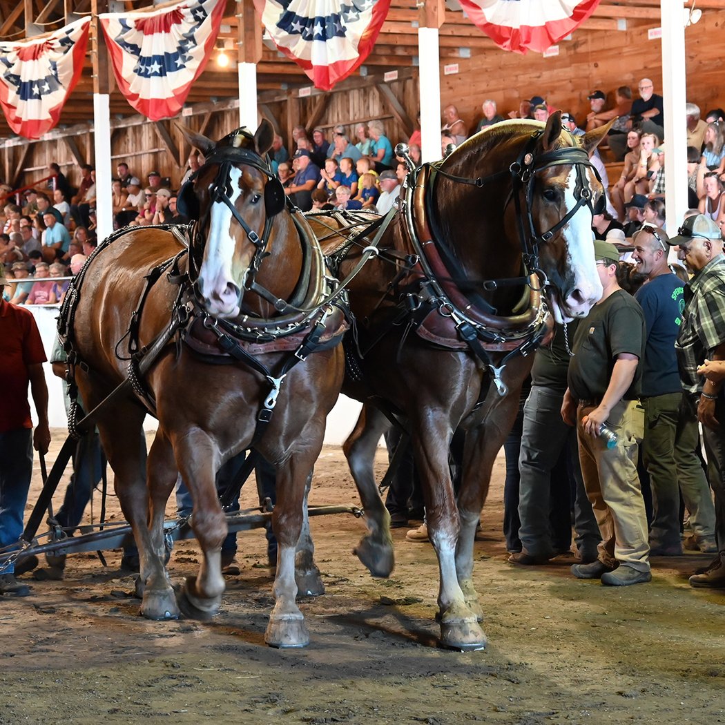 Fryeburg Fair 1