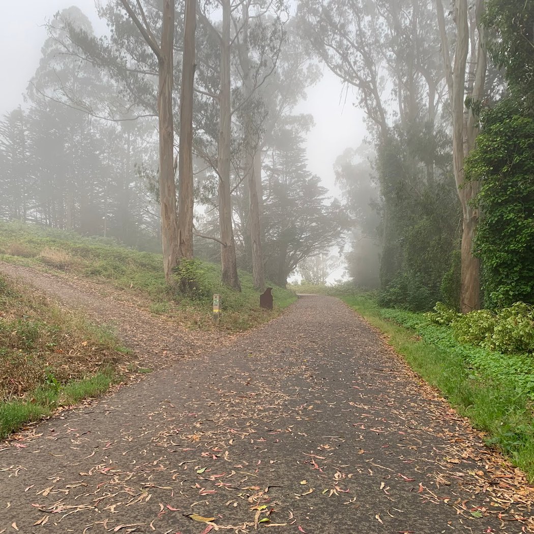 Crocker Gate Trailhead 3
