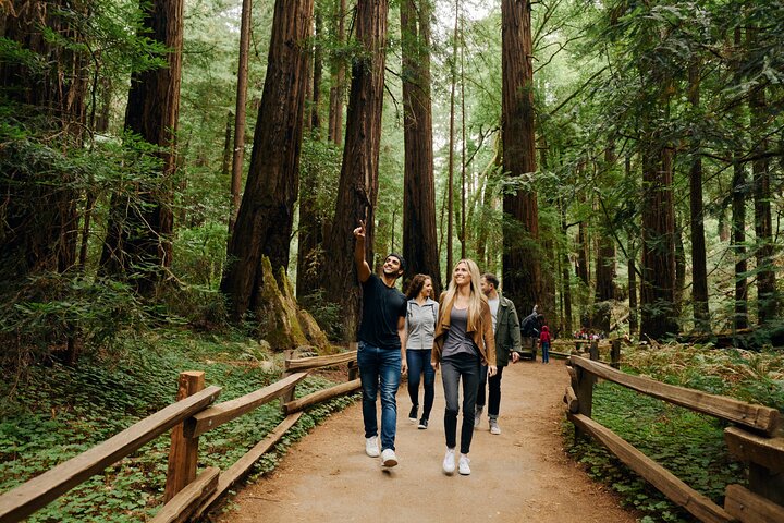 San Francisco to Muir Woods Shuttle 1