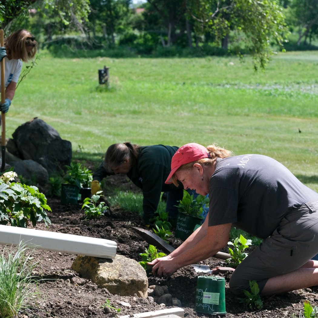 Native Garden Volunteer Event 1