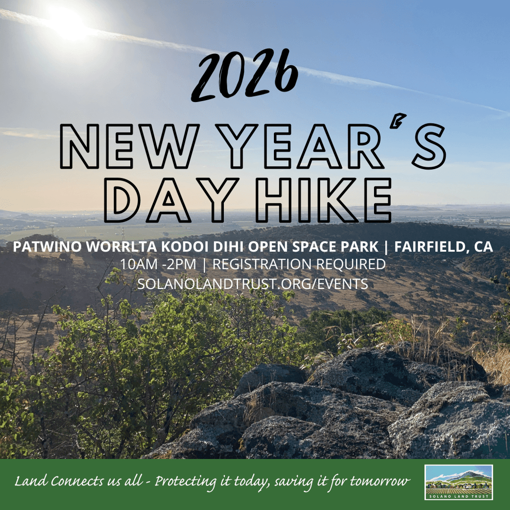 New Years Day Nature Hike 1