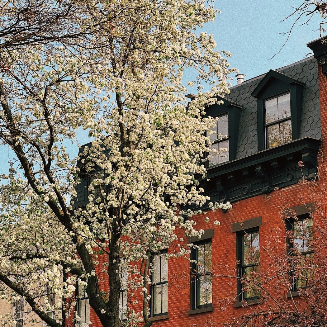Boerum Hill Historic District 4