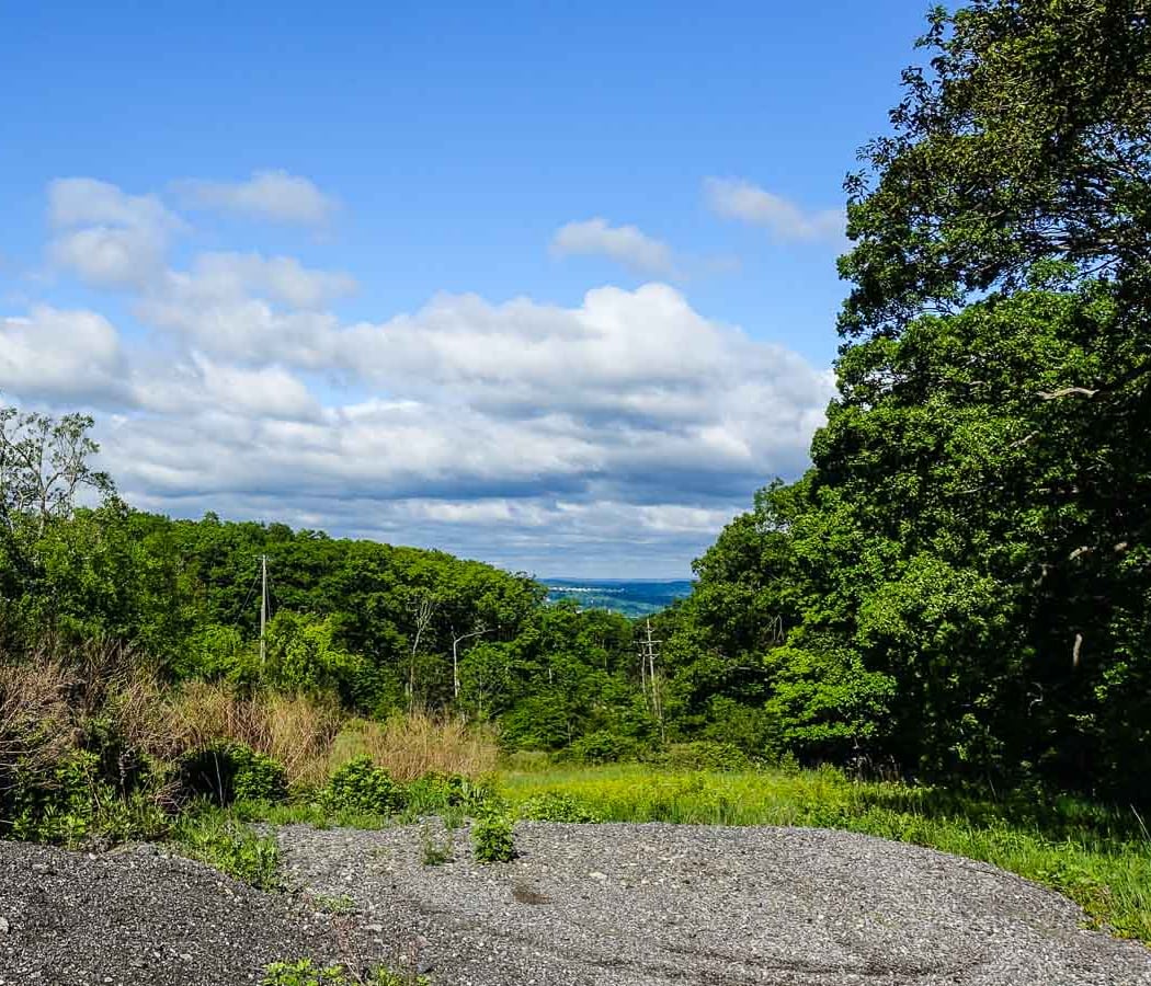 Long Path trail 3