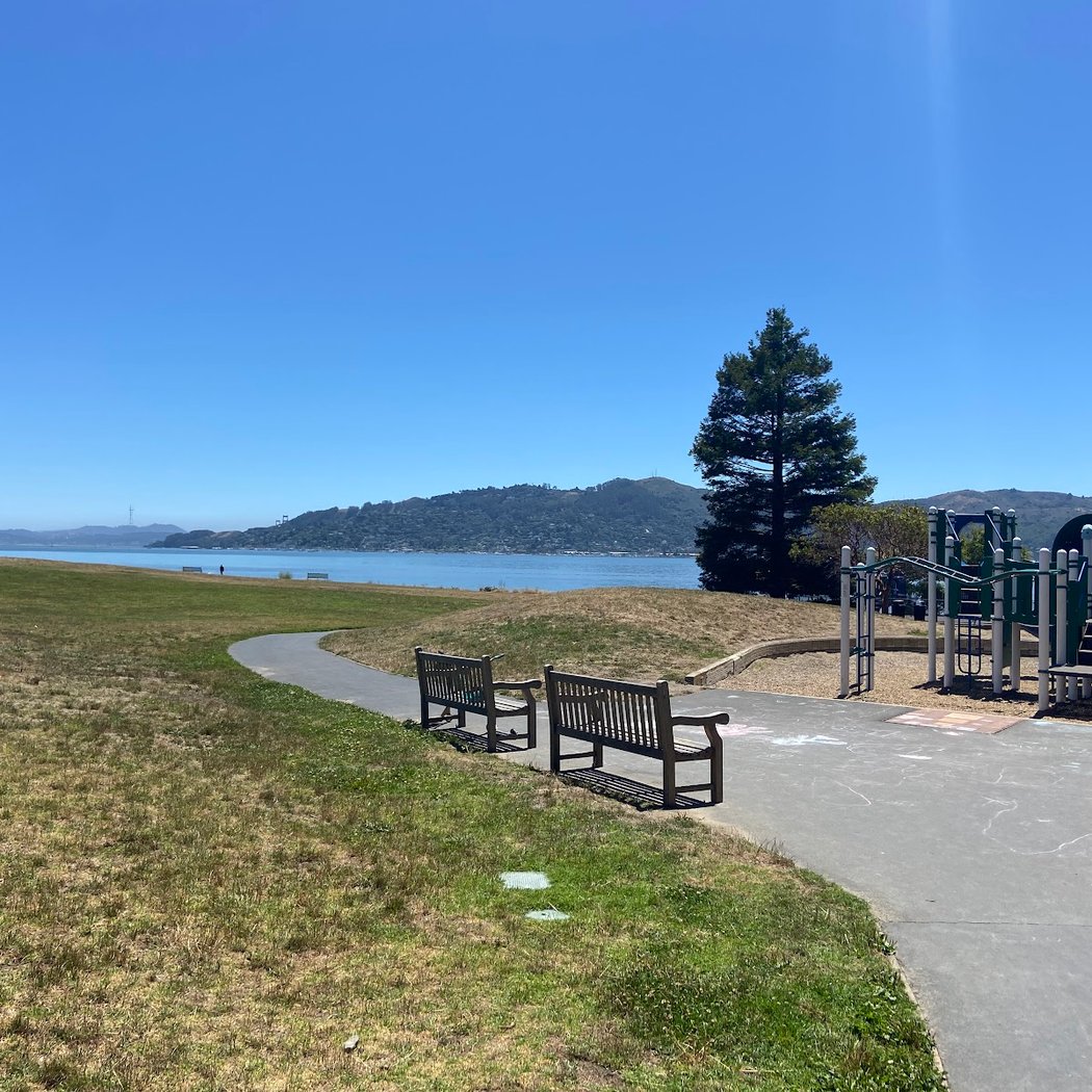 Blackies Playground 3
