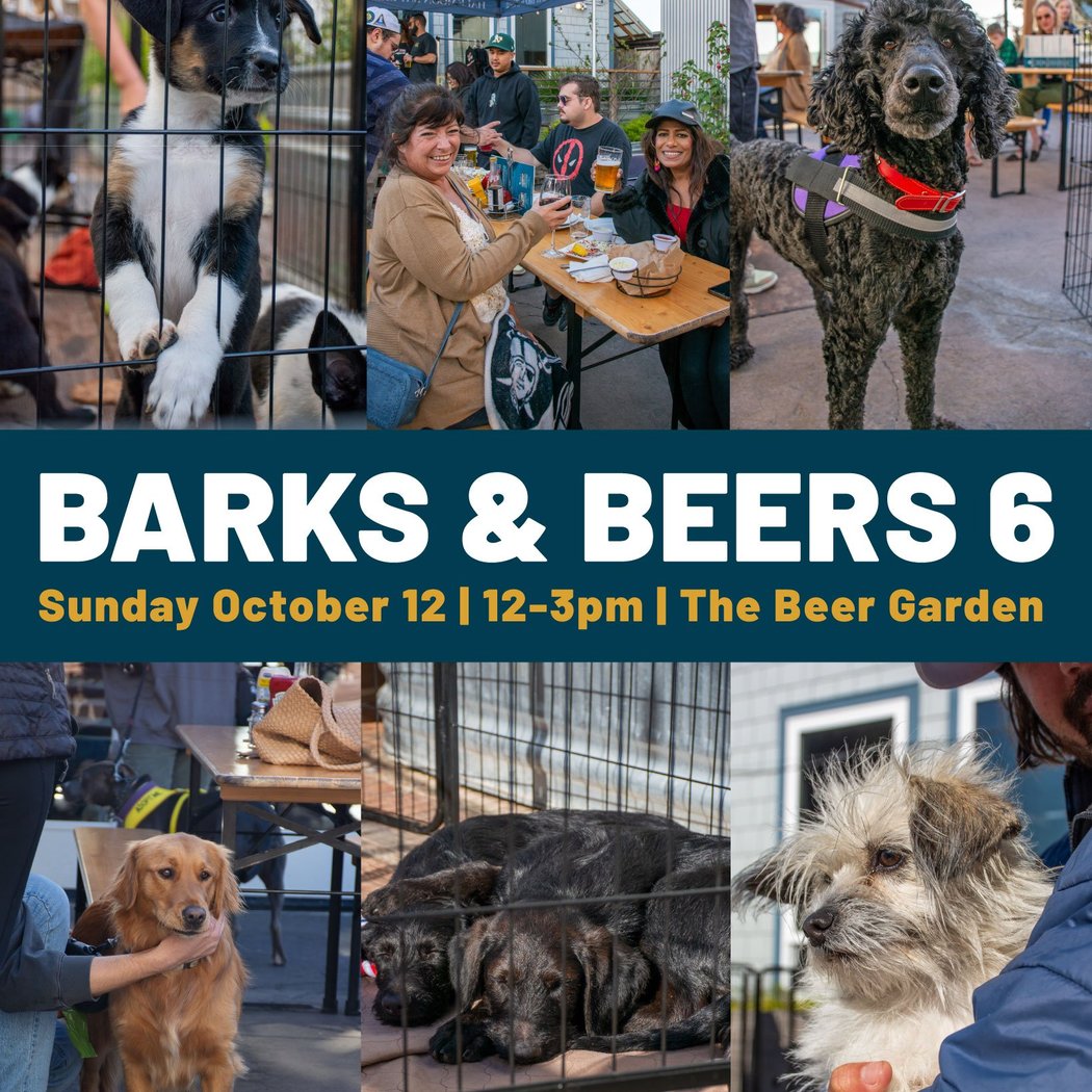 Barks & Beers 1