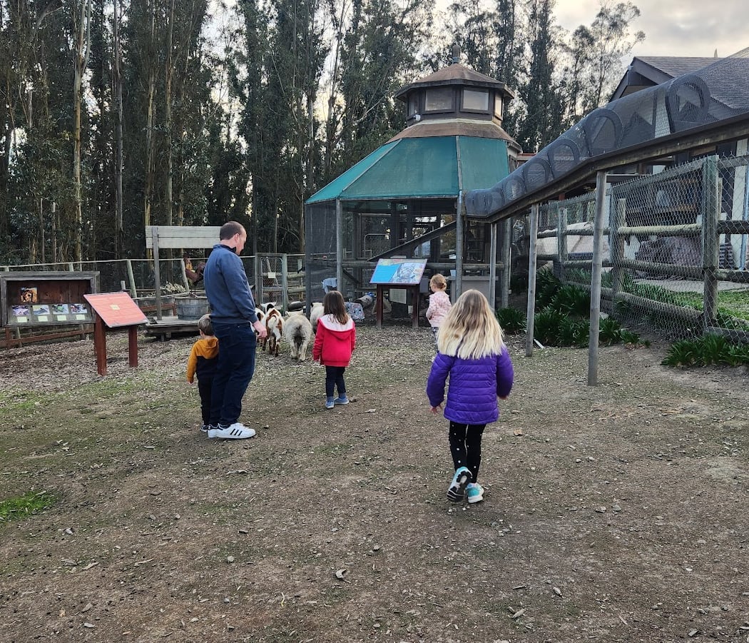 Sonoma County Wildlife Rescue 3