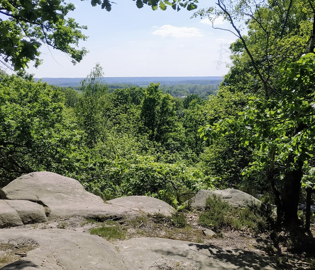 Balade contée et musicale au cœur de la forêt 2
