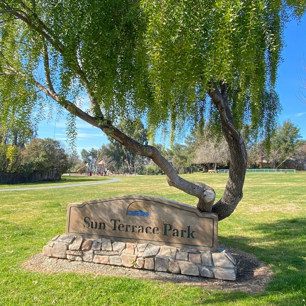 Sun Terrace Neighborhood Park 1