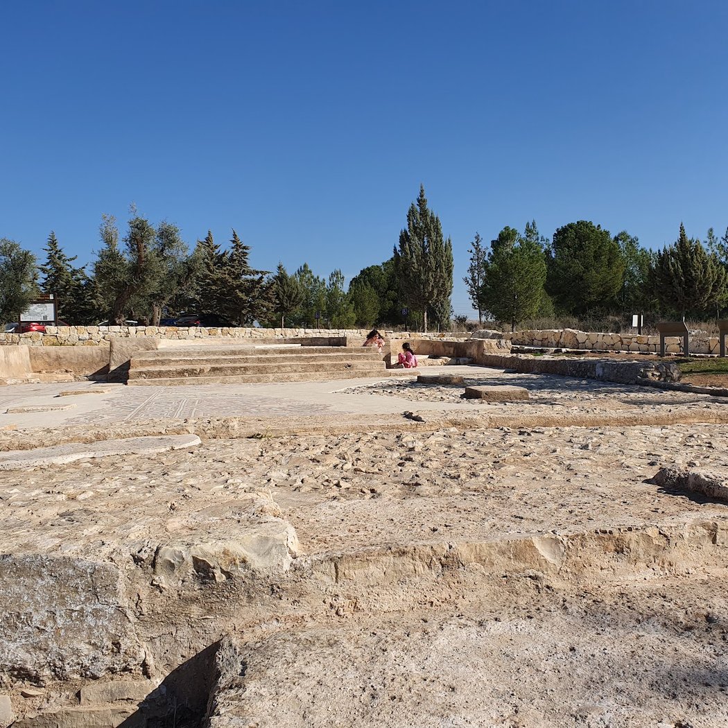 Shoham Forest Park 2