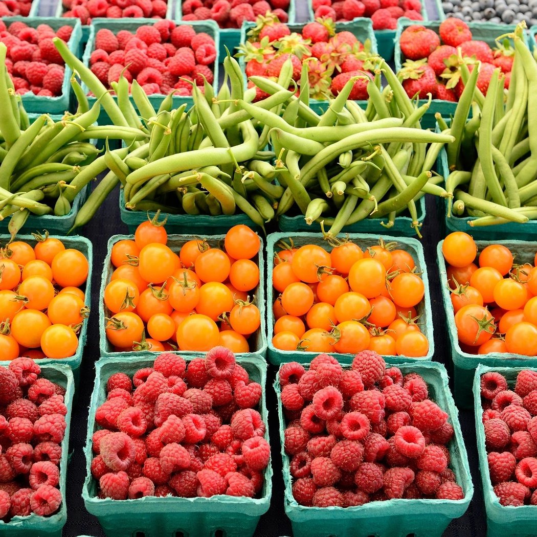 Gilbert Farmers Market 1