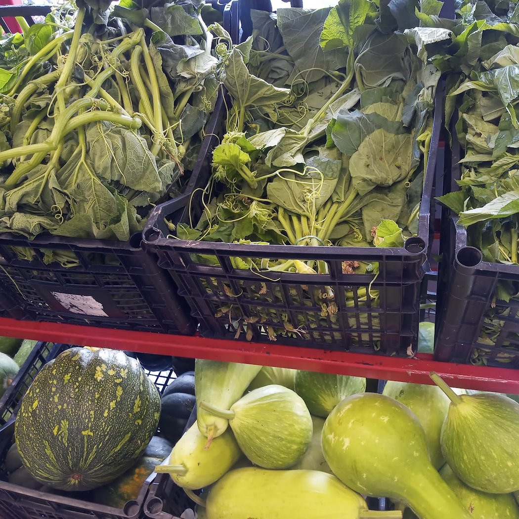 Tofa Asian African alimentation 4