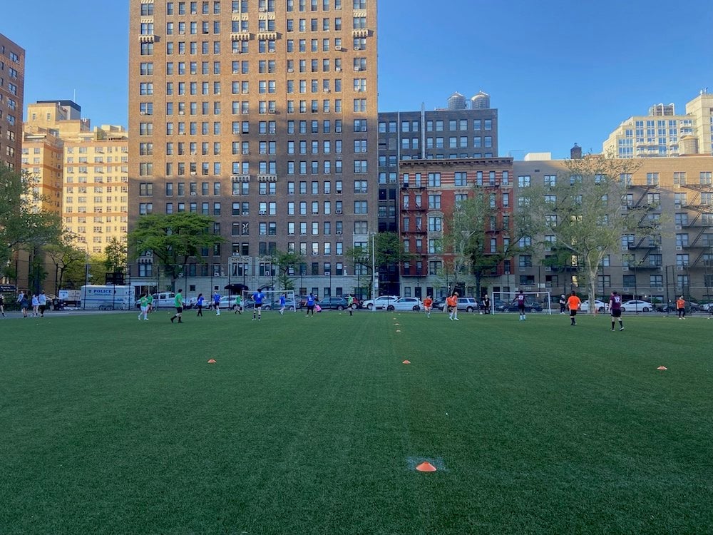 Peter's Field 1