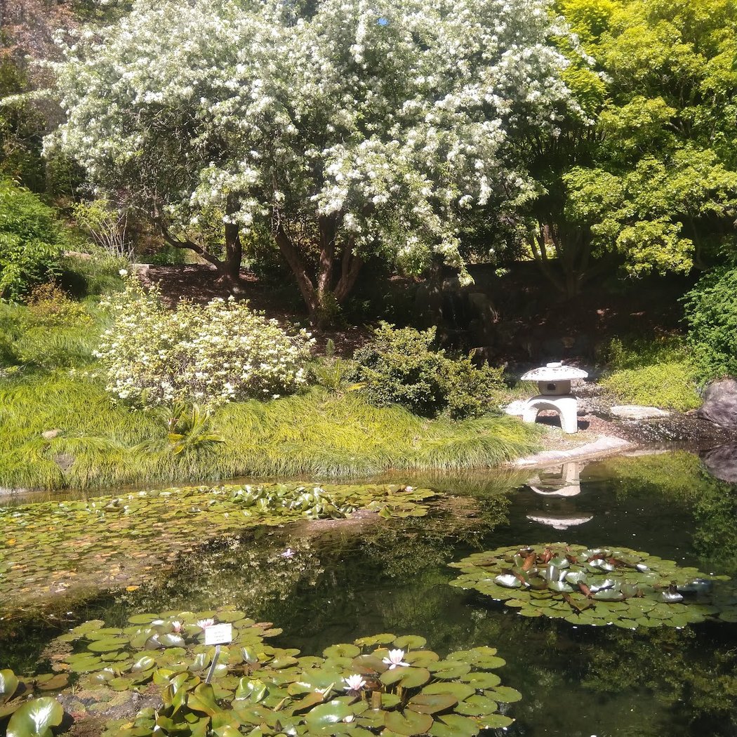 Botanical Garden Lot 1