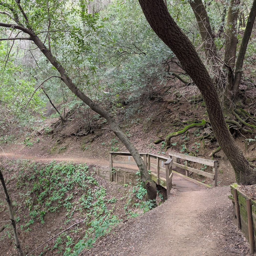 Trailhead, Lexington Dam Loop 3