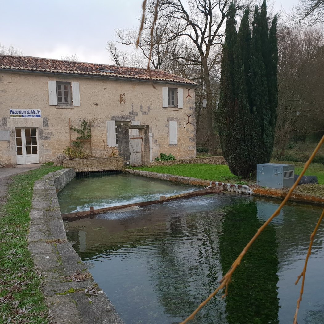Pisciculture Du Moulin 3