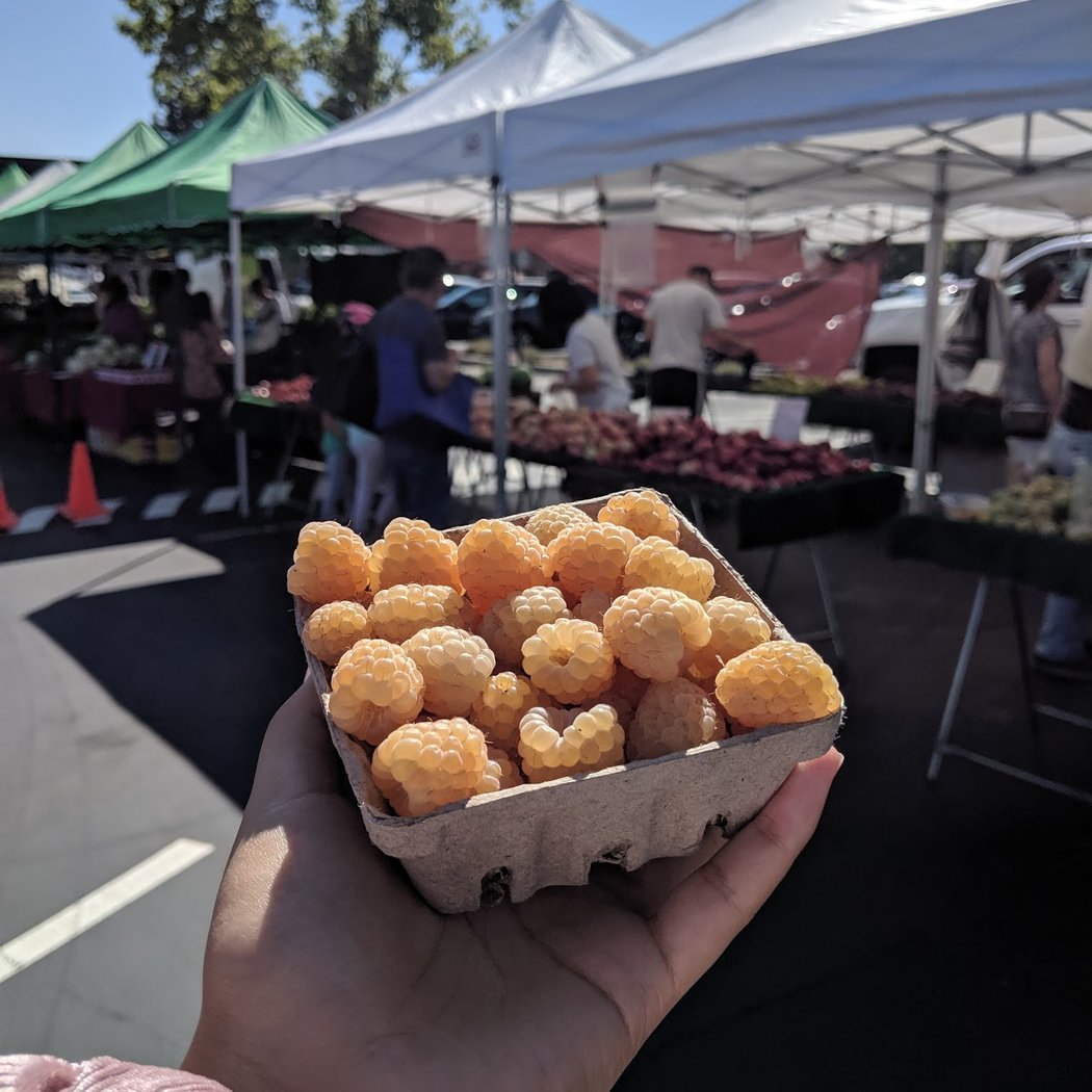 Almaden Farmers Market 1