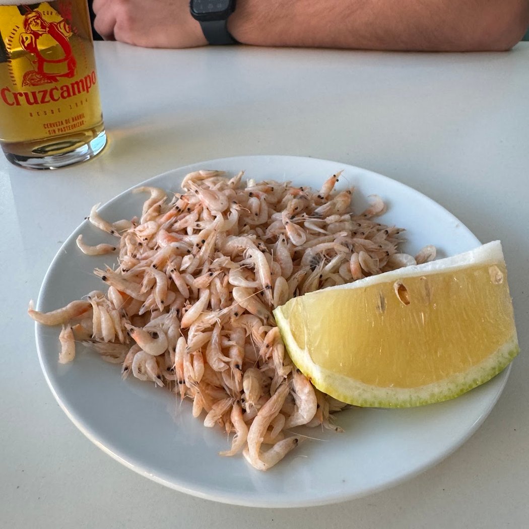 Cervecería Triana 3