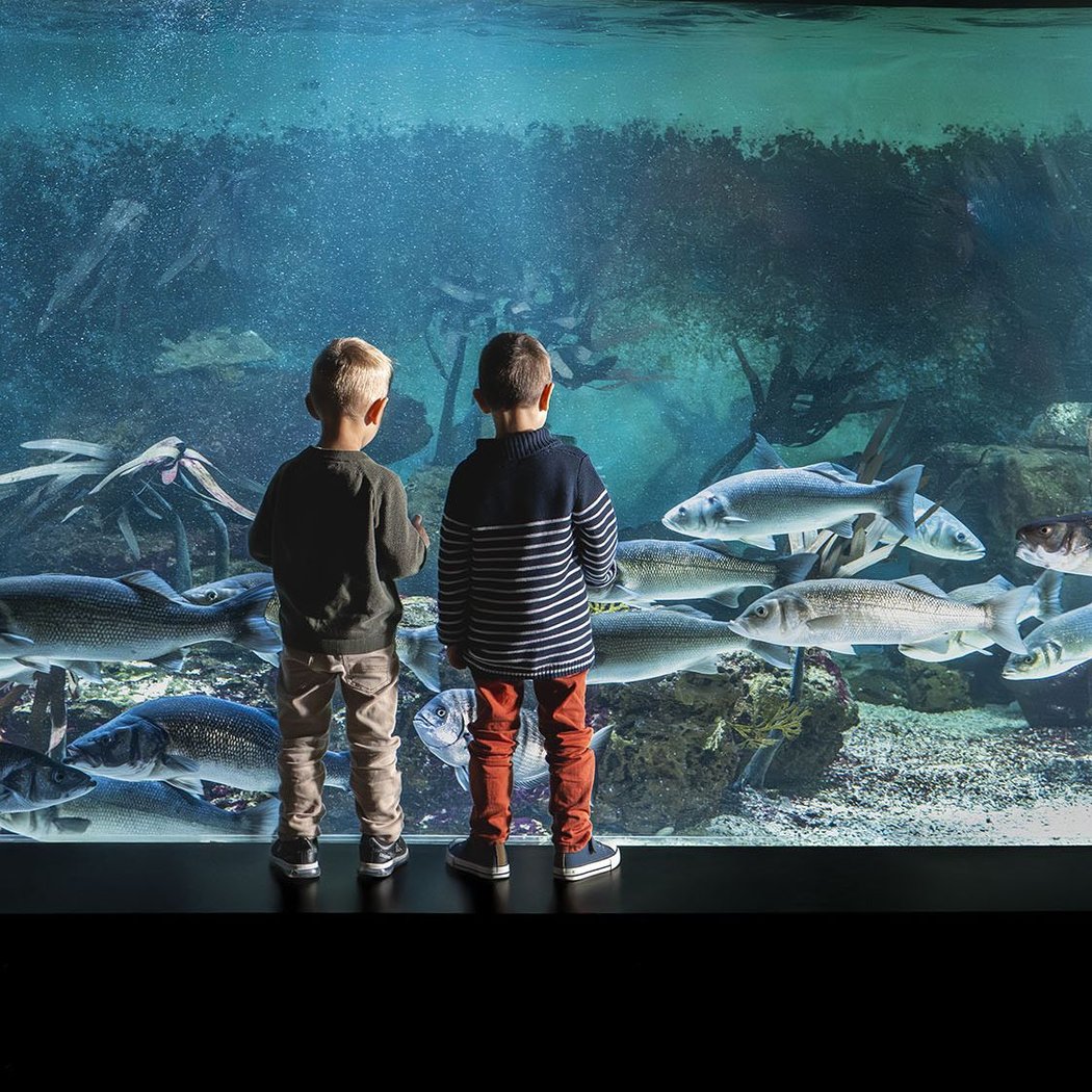 Aquarium de Vendée 1
