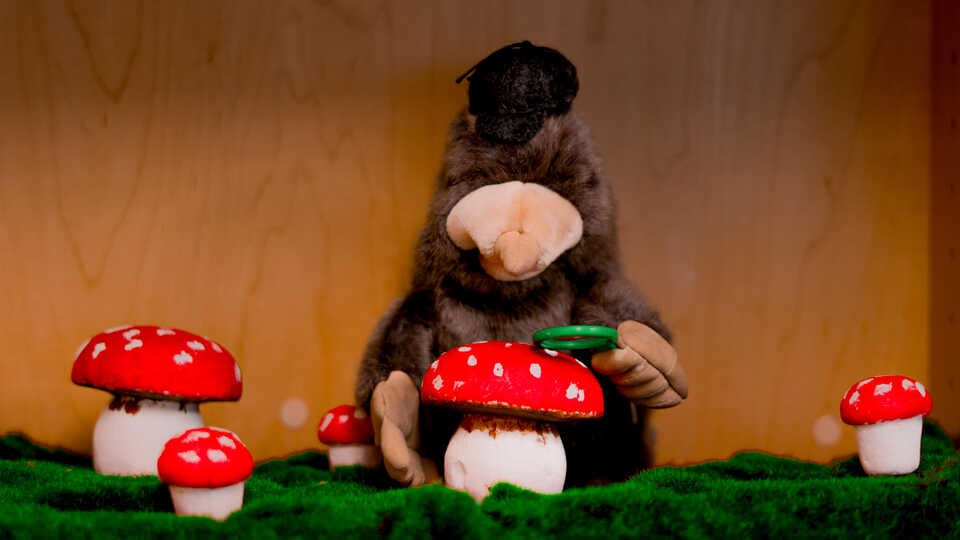 Detective Mole's Mystery: A Sensory Adventure