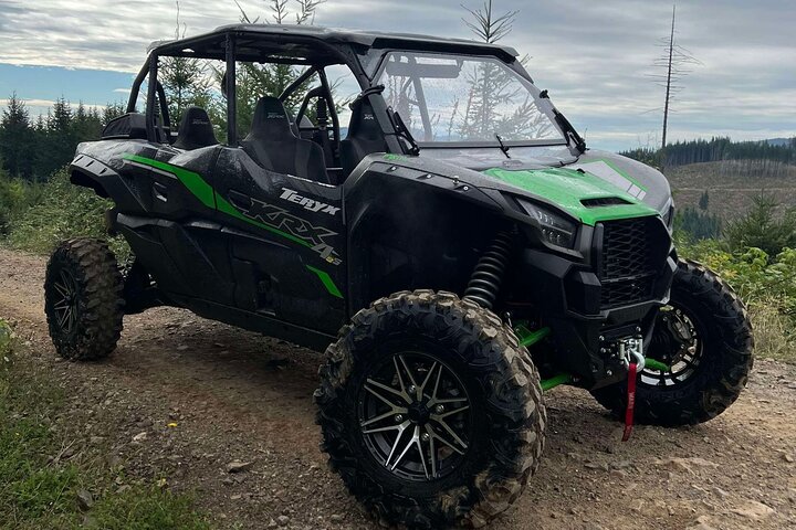 Rent 4 Seater ATV Side by Side 3