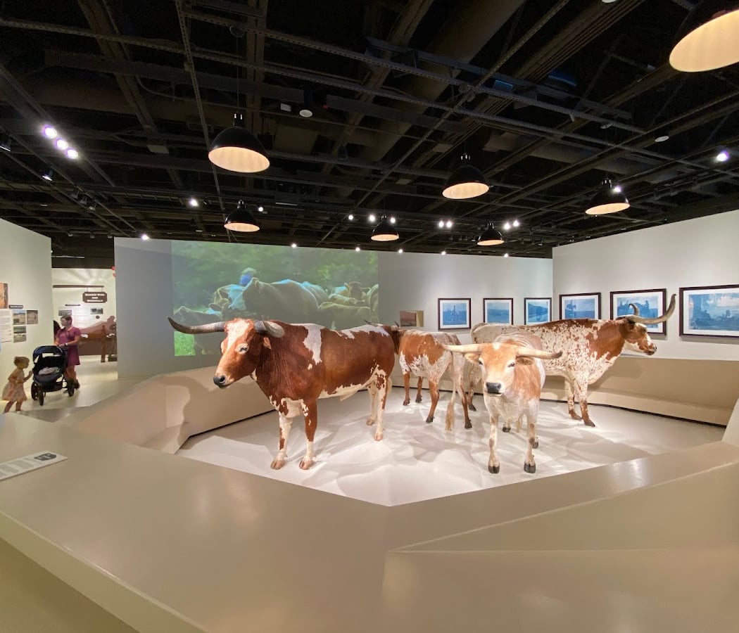 Fort Worth Museum of Science and History 4