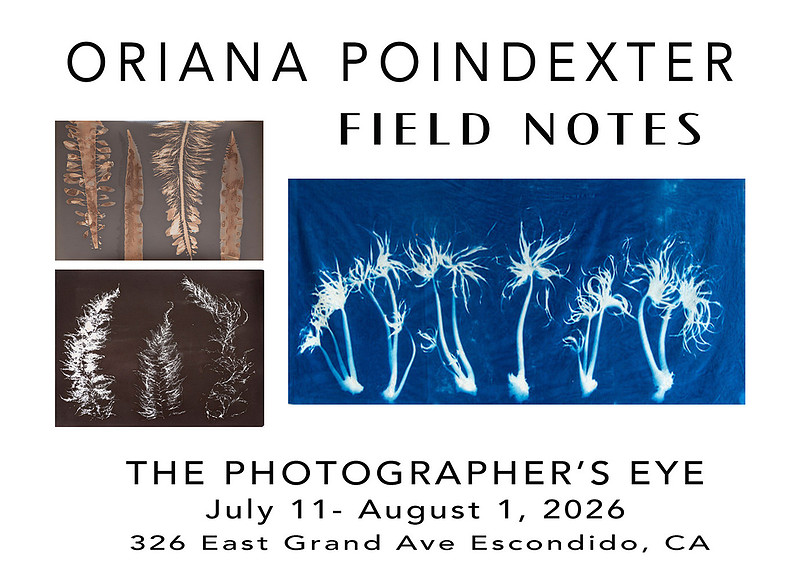 Oriana Poindexter: Field Notes Exhibition 1