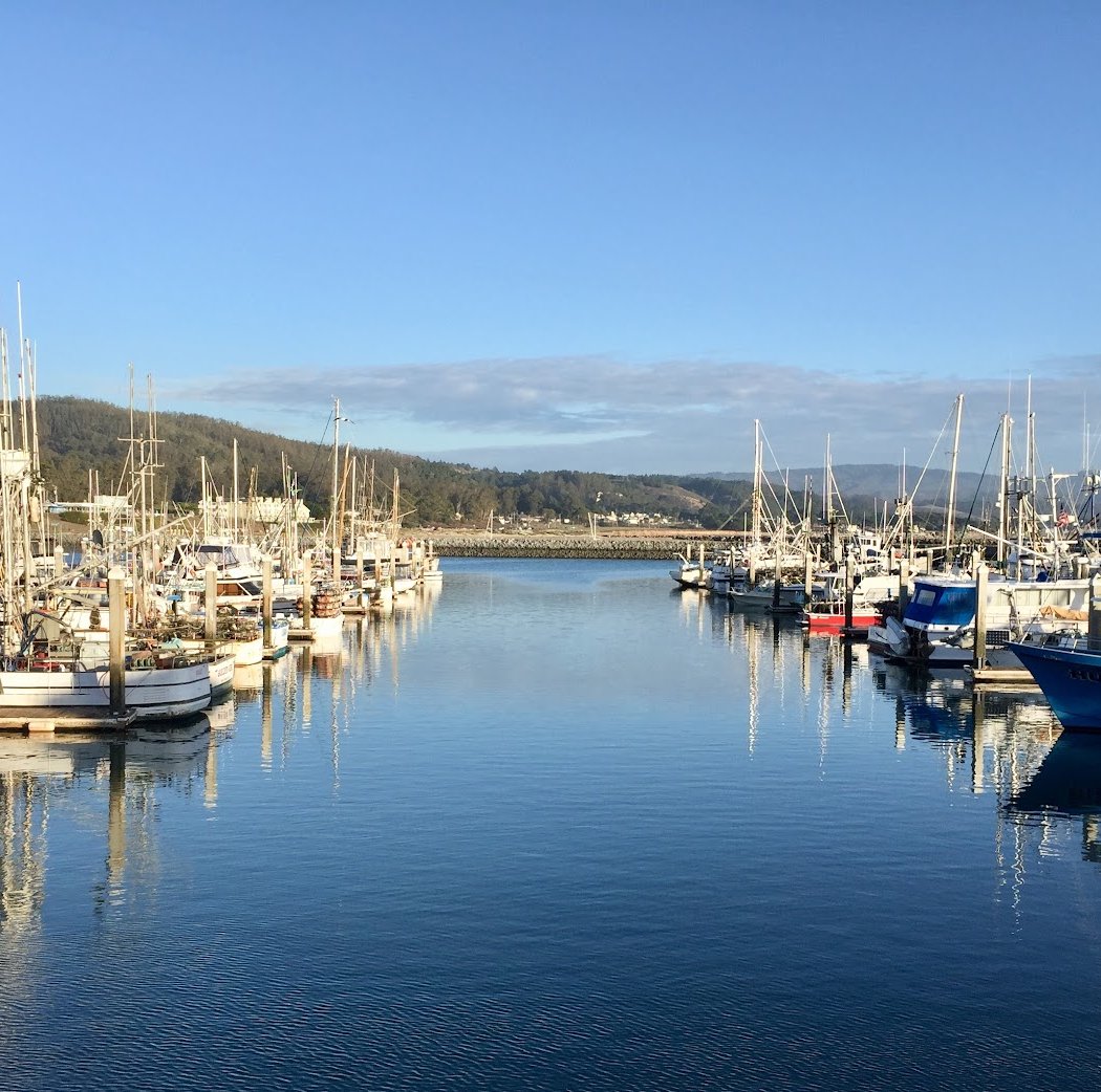 Pillar Point Harbor Beach 3