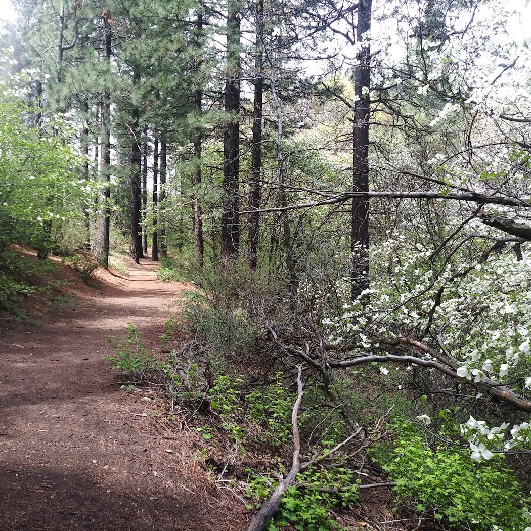 Heaps Peak Arboretum Day Use Area 3