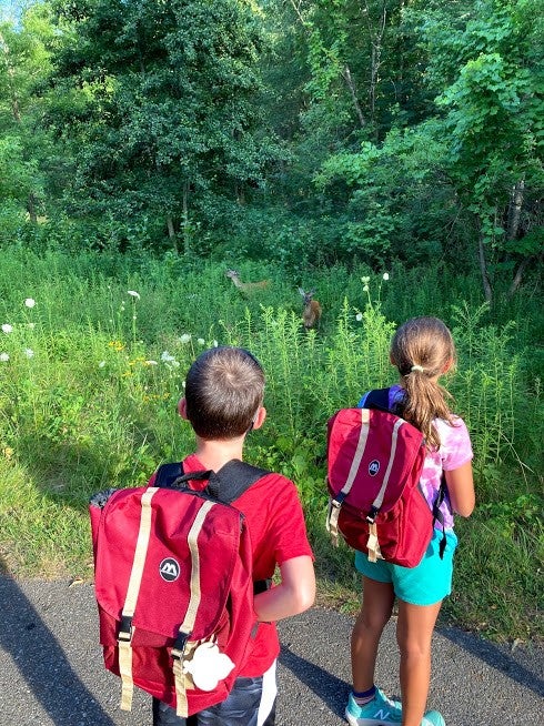 Young Explorers: Mystery on the Mountain 2