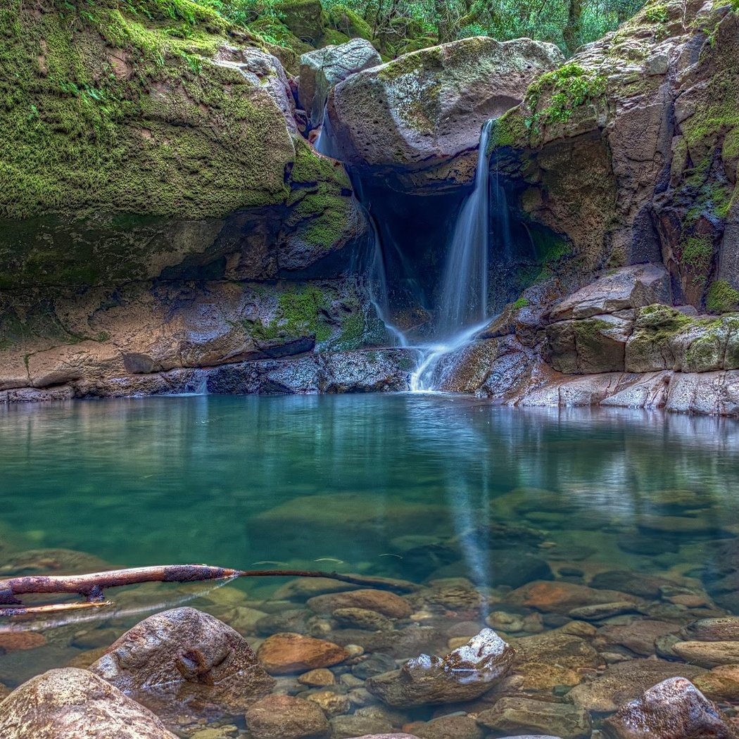 Angeles National Forest 1