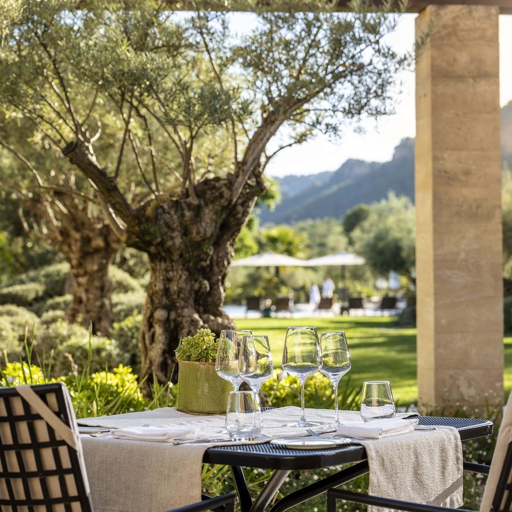 Restaurant Olivera 3