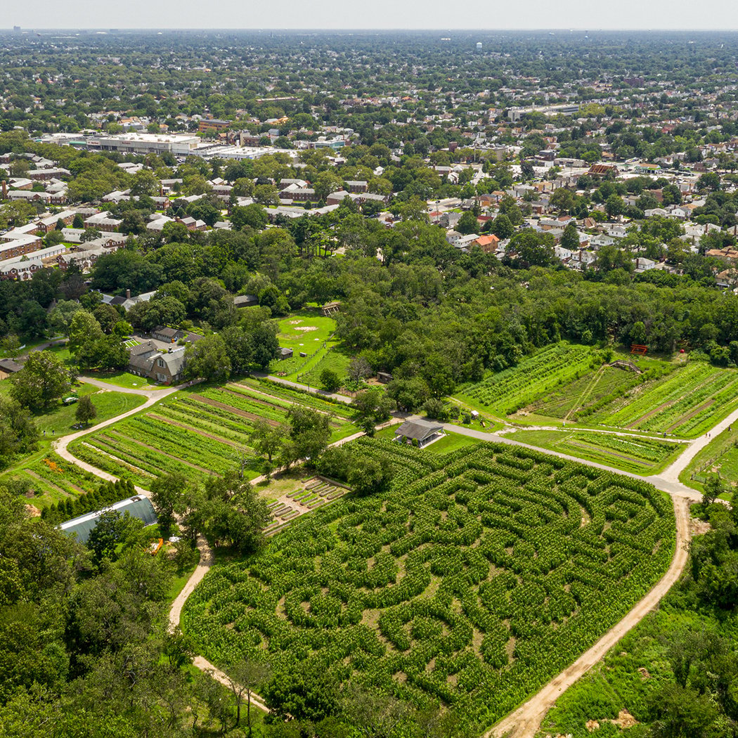 The Amazing Maize Maze 2