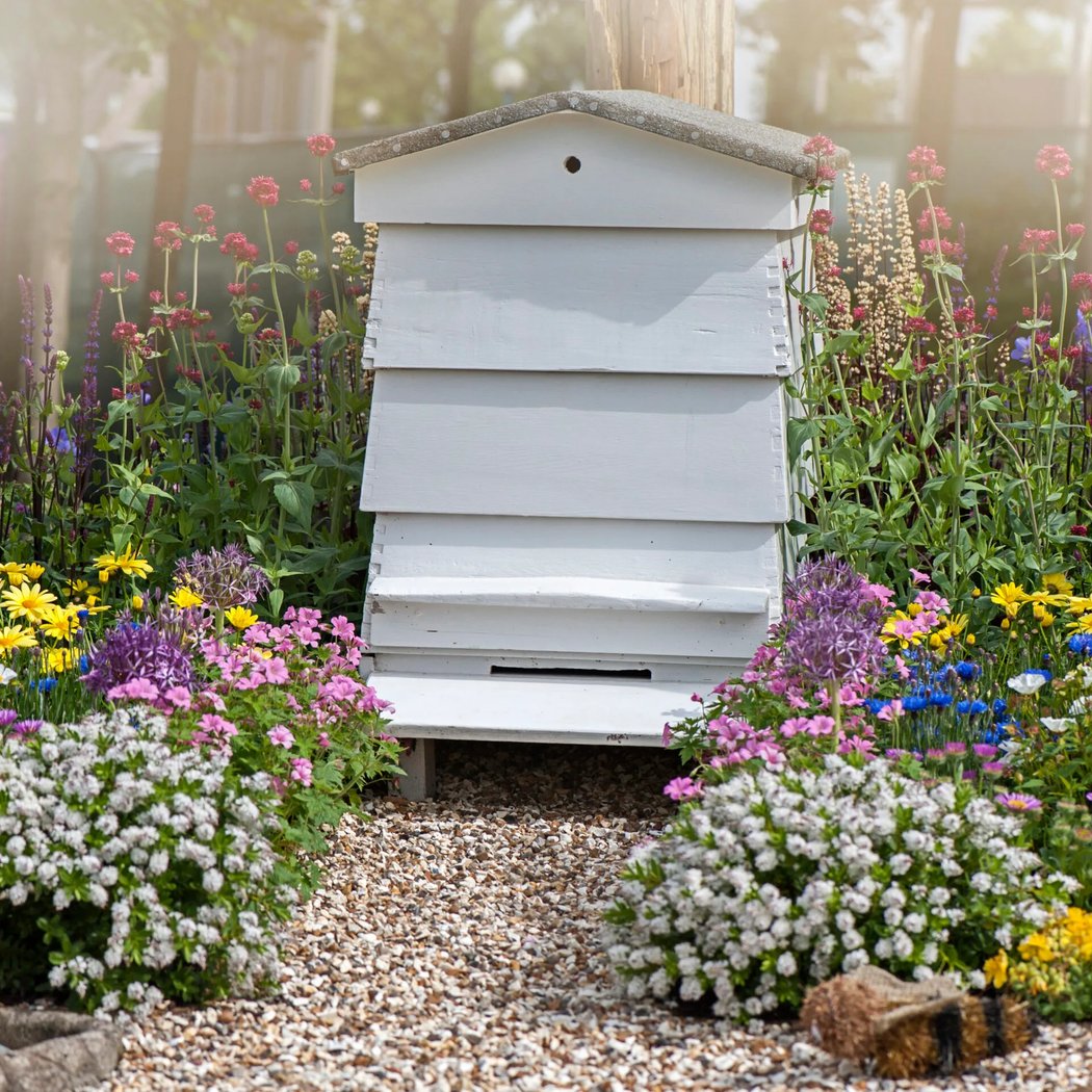 Intro to Urban Beekeeping 2