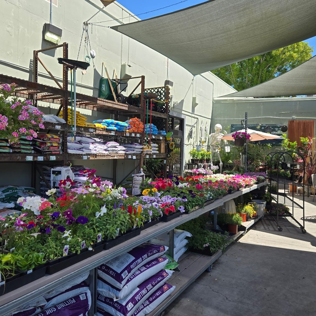 Hassett Ace Hardware 3