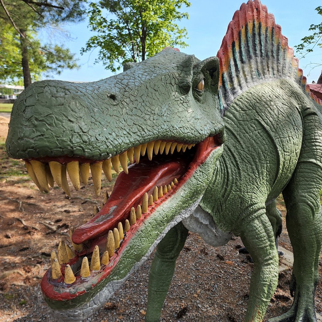 Dinosaur Land 3