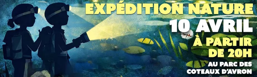Expédition nature : Les yeux de la mare : secrets de la nuit 1